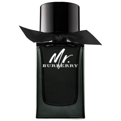 mr burberry fragrance commercial|mr Burberry perfume price.